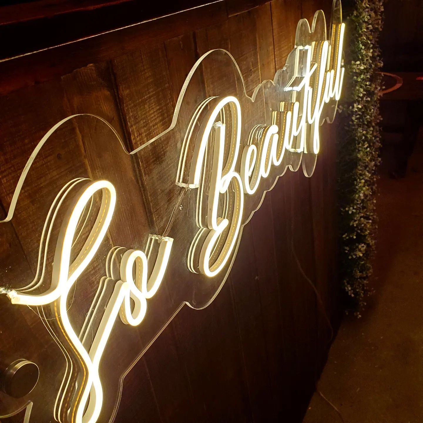 307423417_459657522847151_7853744289100063377_n